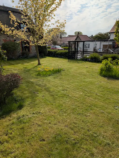 A neatly striped front lawn after a County Cutters mow in Norfolk
